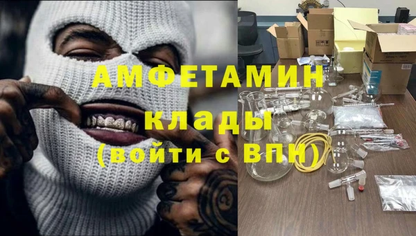 ГАЛЛЮЦИНОГЕННЫЕ ГРИБЫ Корсаков