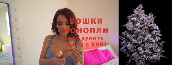 ГАЛЛЮЦИНОГЕННЫЕ ГРИБЫ Корсаков