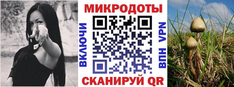 Купить закладки  Моршанск  Галлюциногенные грибы GOLDEN TEACHER 